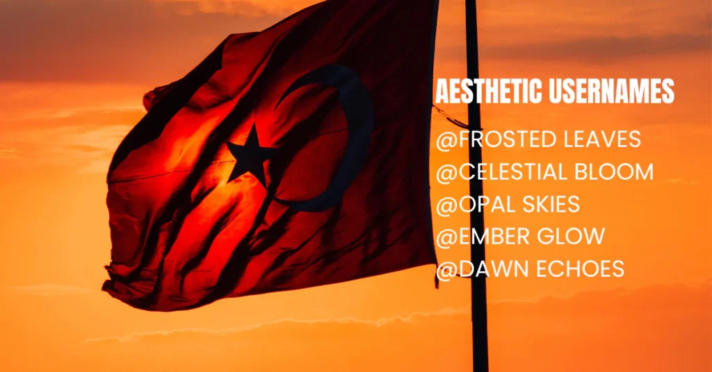 Aesthetic Instagram Usernames