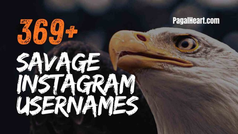 Latest 369+ Savage Instagram Usernames 2025