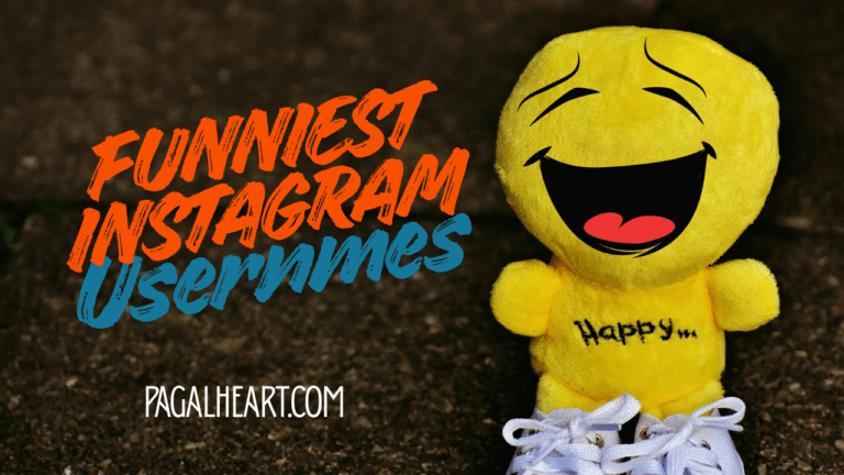 Funniest Instagram Usernames [Latest 2025 Funny Instagram Usernames]